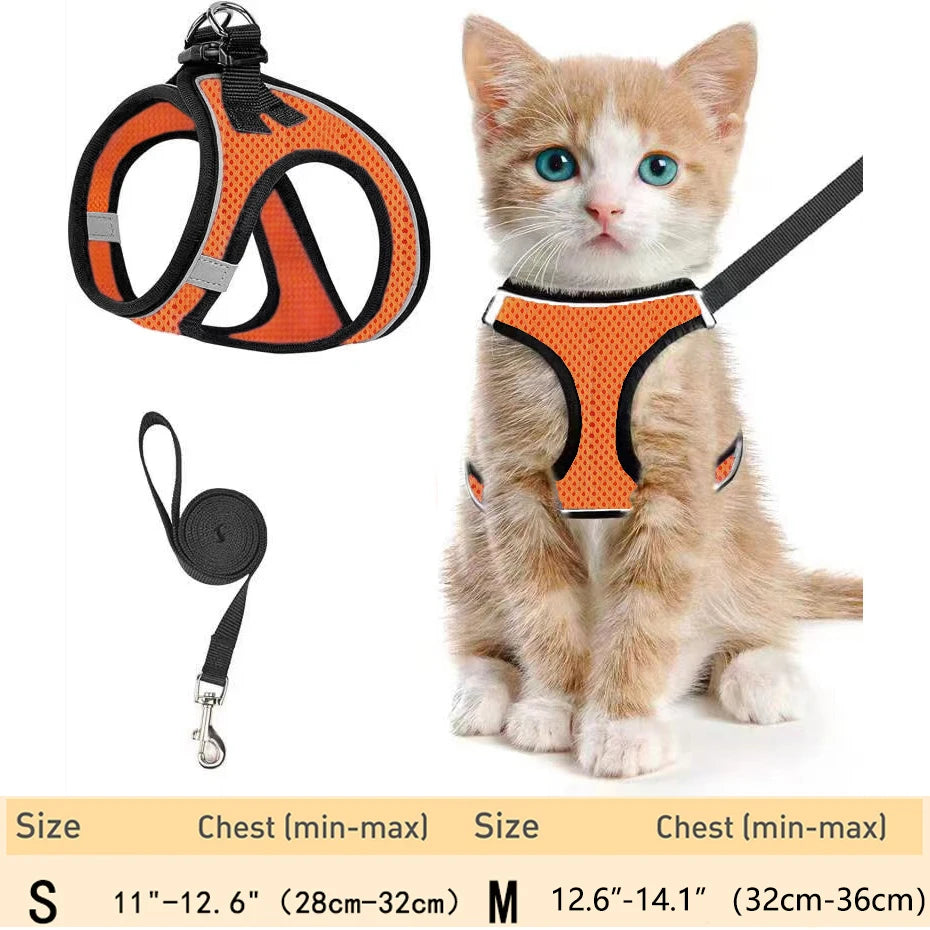 Escape-Proof Cat Harness Set