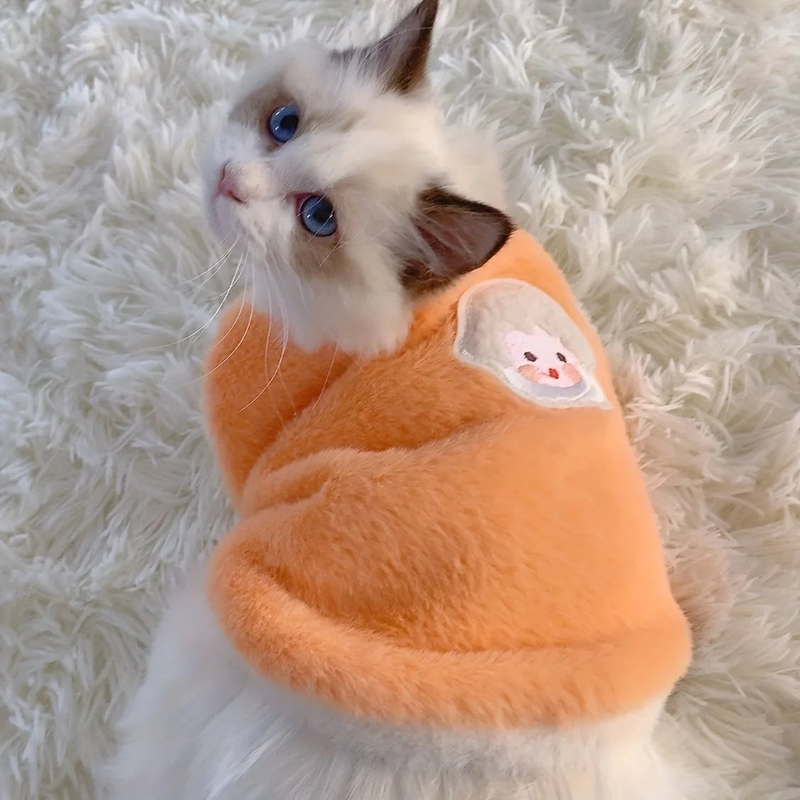 Warm Kitten Winter Vest