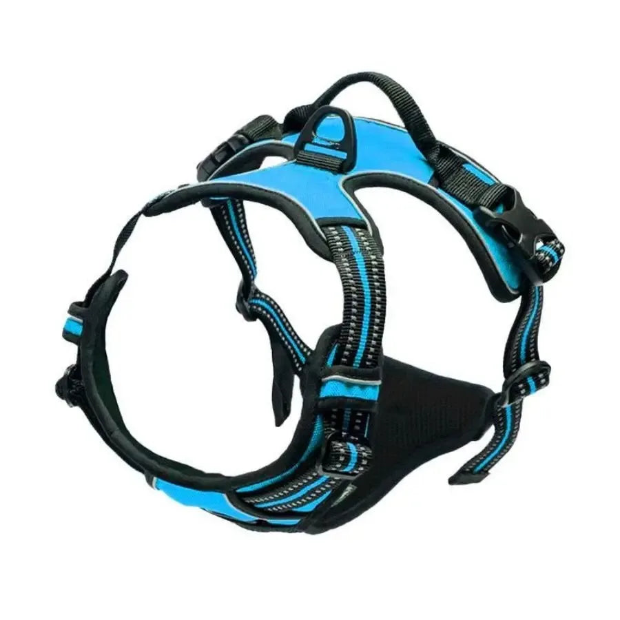 Leather Dog Harness Set