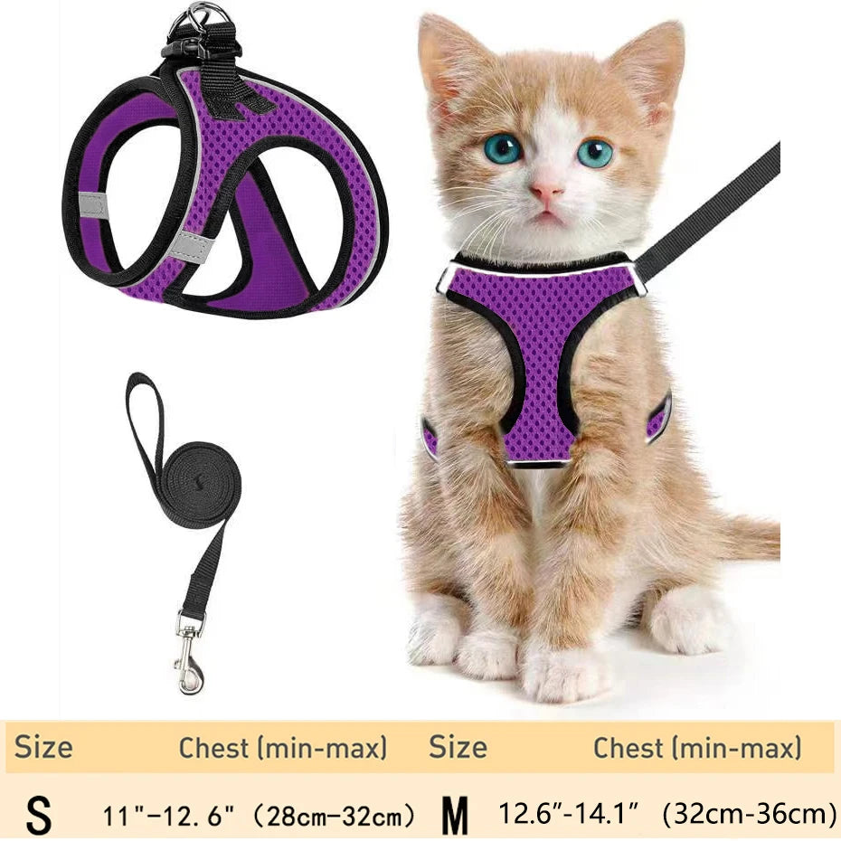 Escape-Proof Cat Harness Set