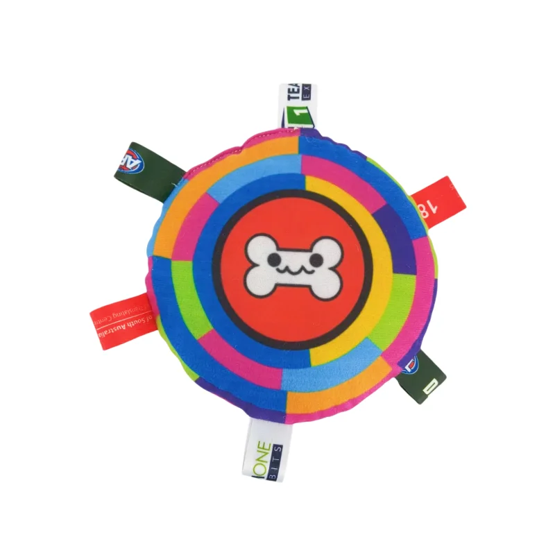 Rainbow Dog Saucer Toy