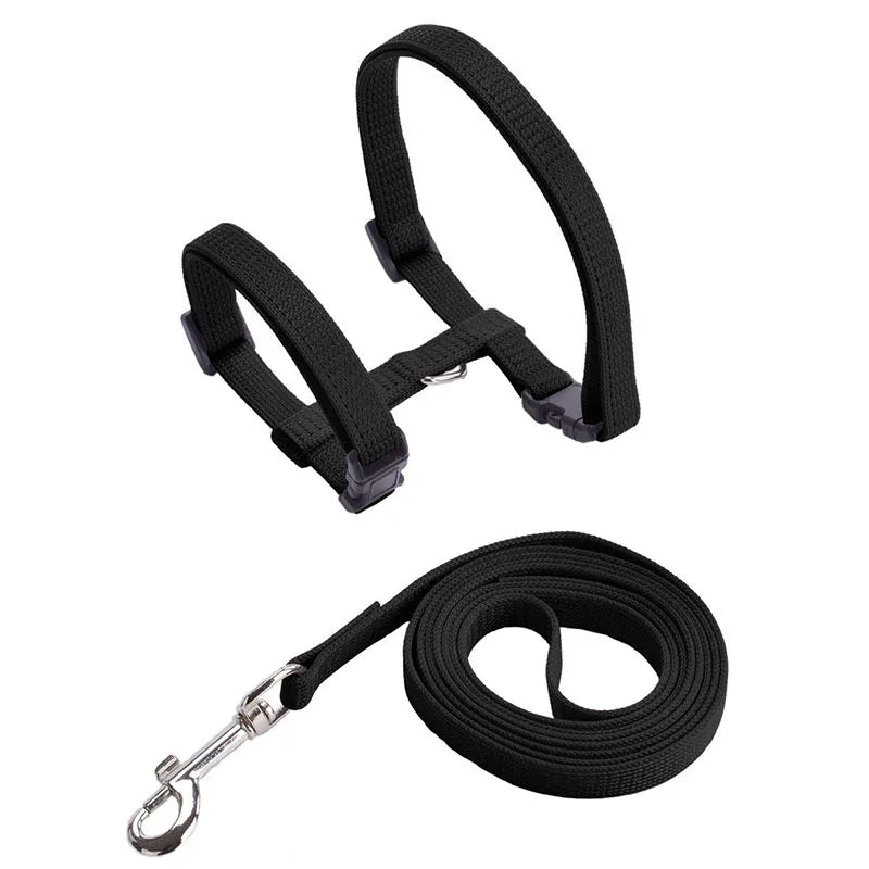 Nylon Pet Harness Set