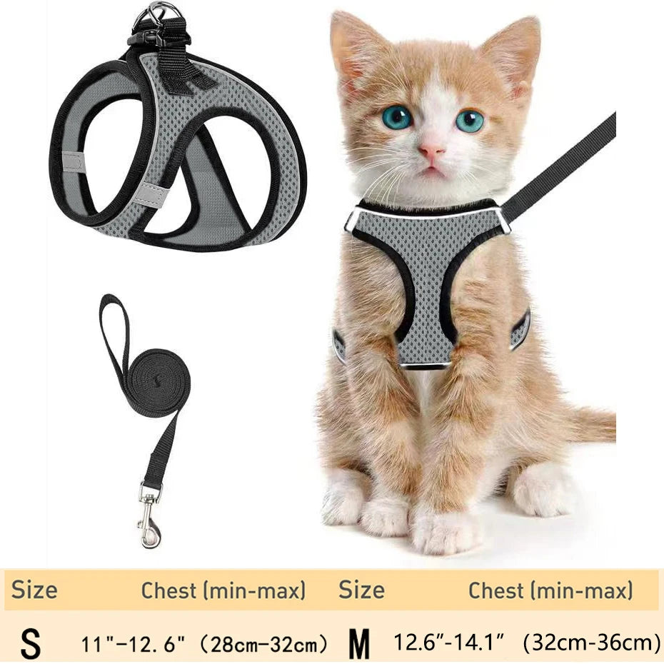 Escape-Proof Cat Harness Set