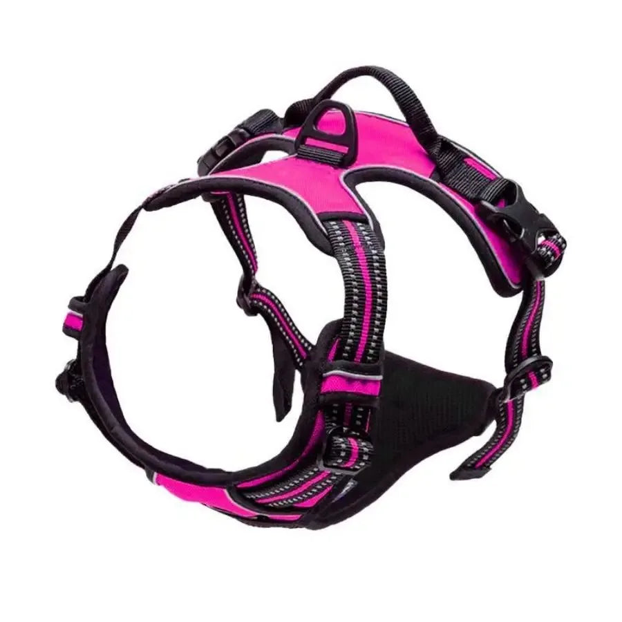 Leather Dog Harness Set