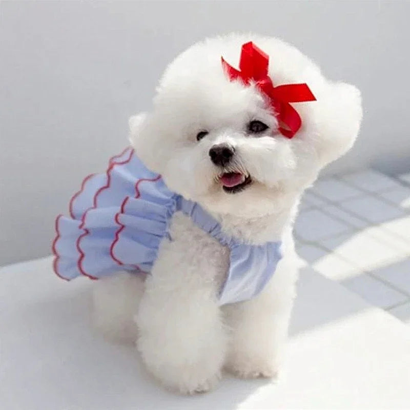 Dog Princess Summer Dress