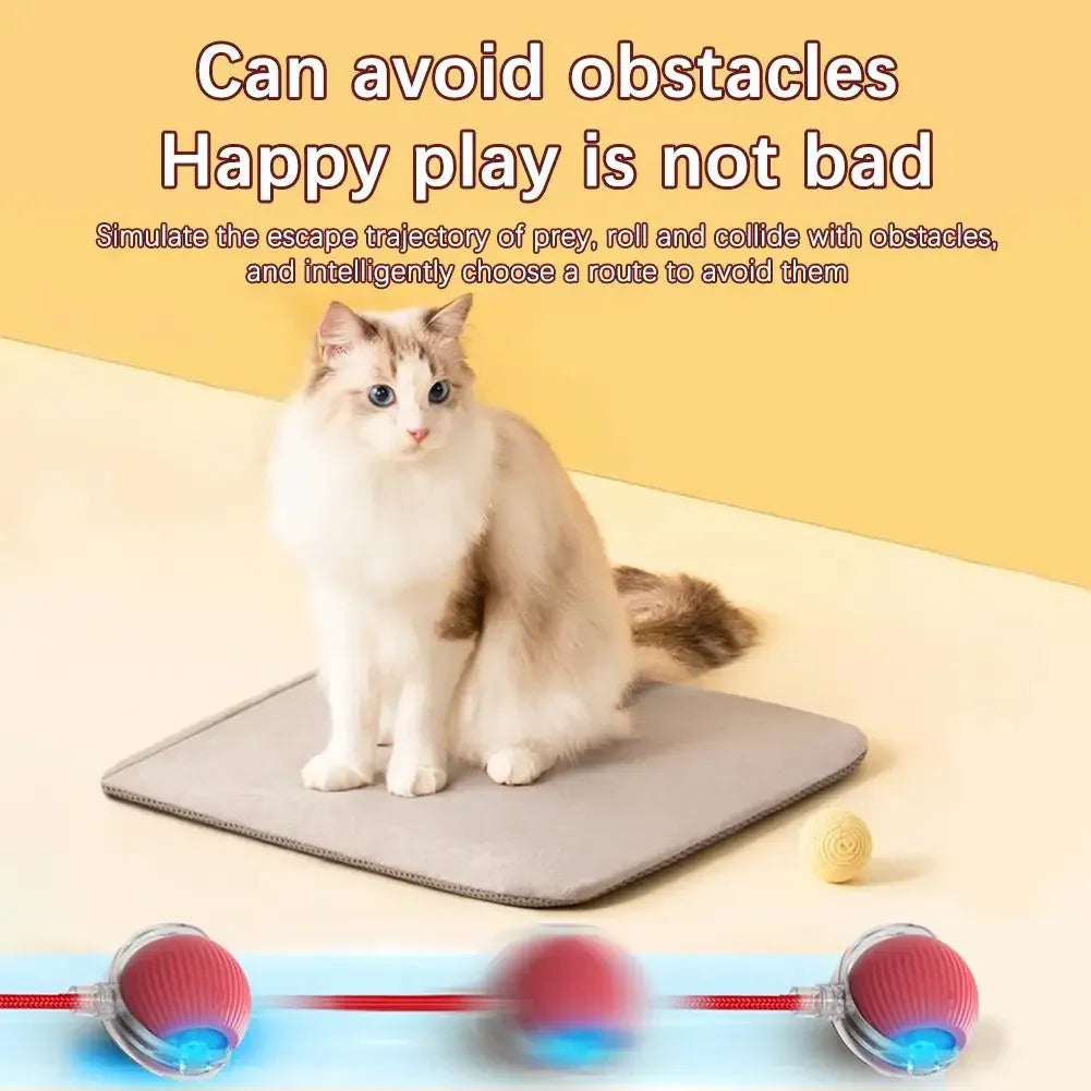 Smart Cat Toy Ball