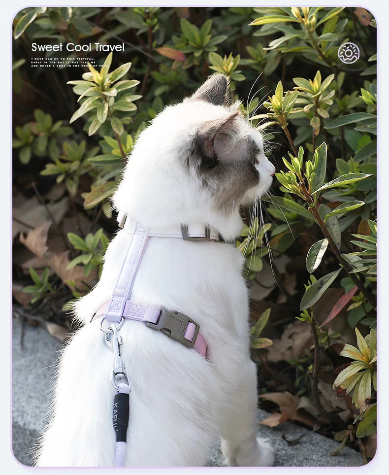 KittyGuard Outdoor Harness Set