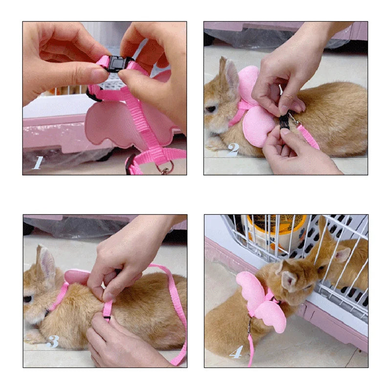 Angel Wing Pet Harness