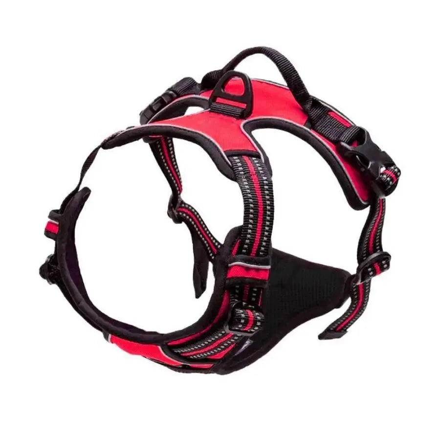 Leather Dog Harness Set