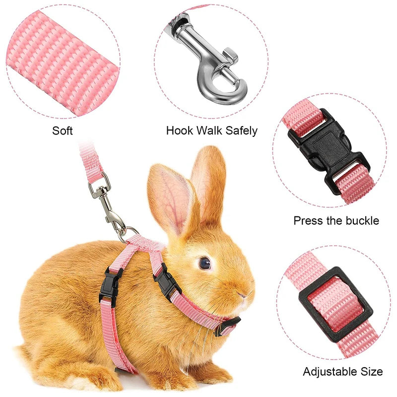 Nylon Pet Harness Set