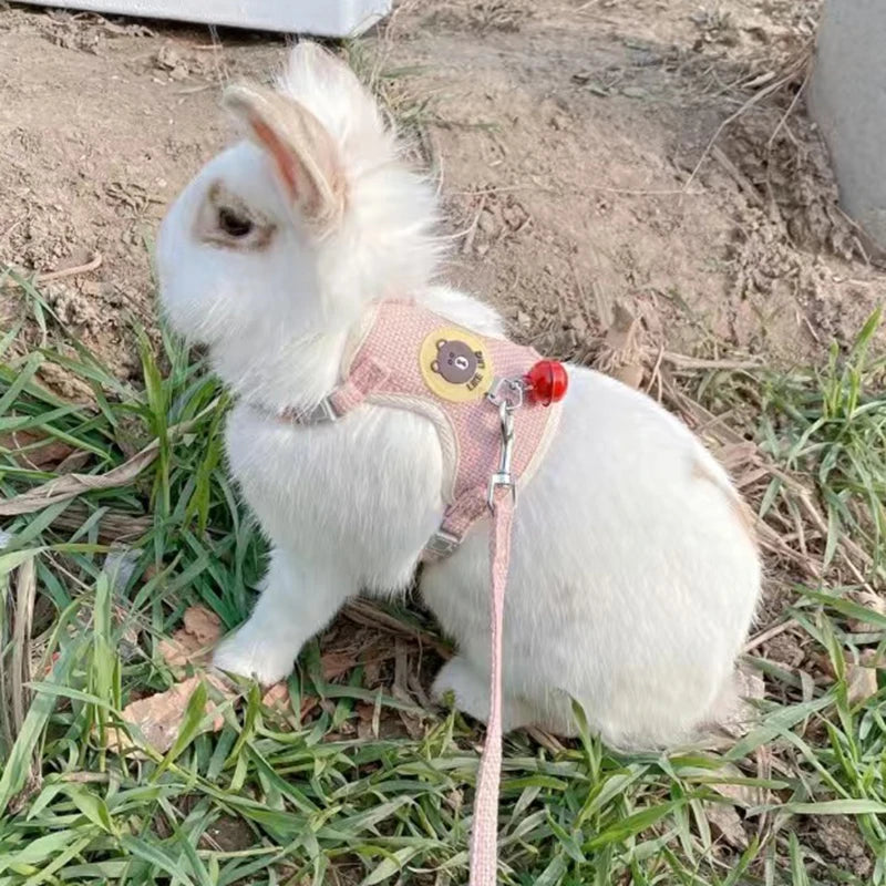 Rabbit Harness Leash Set