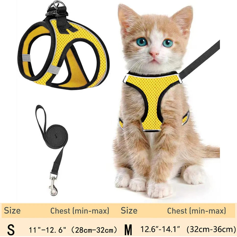 Escape-Proof Cat Harness Set