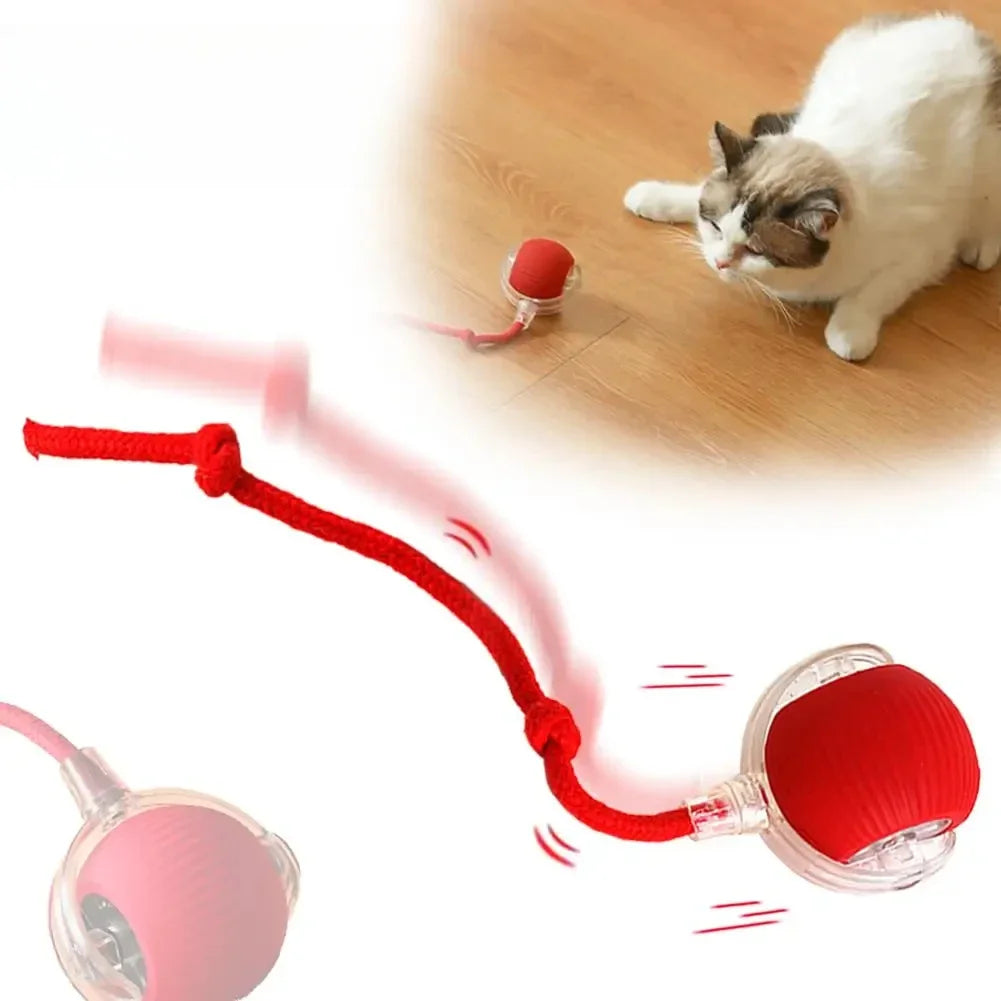 Smart Cat Toy Ball