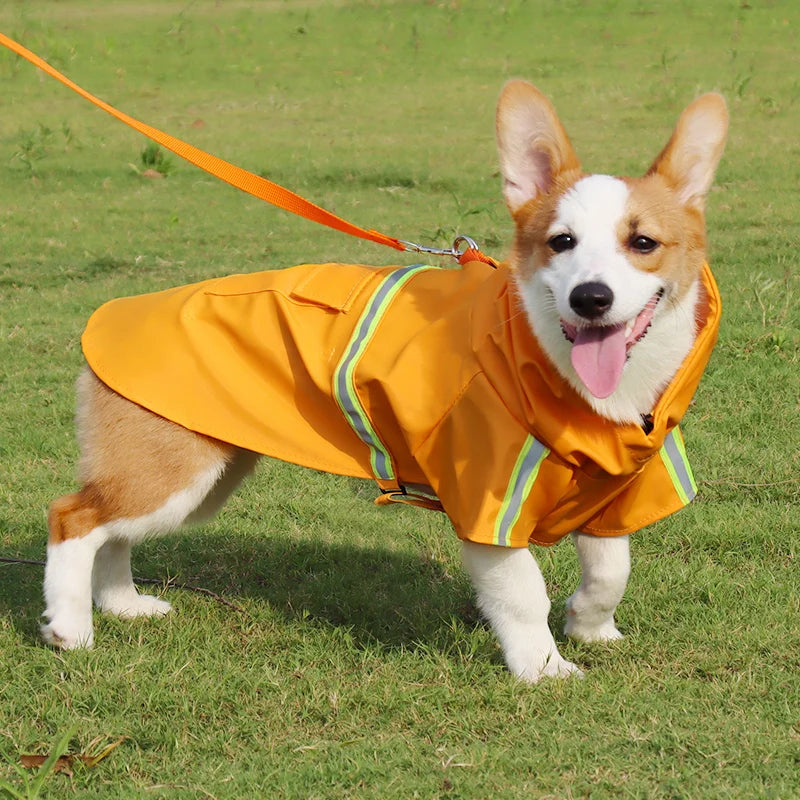 Corgi Cloak Raincoat
