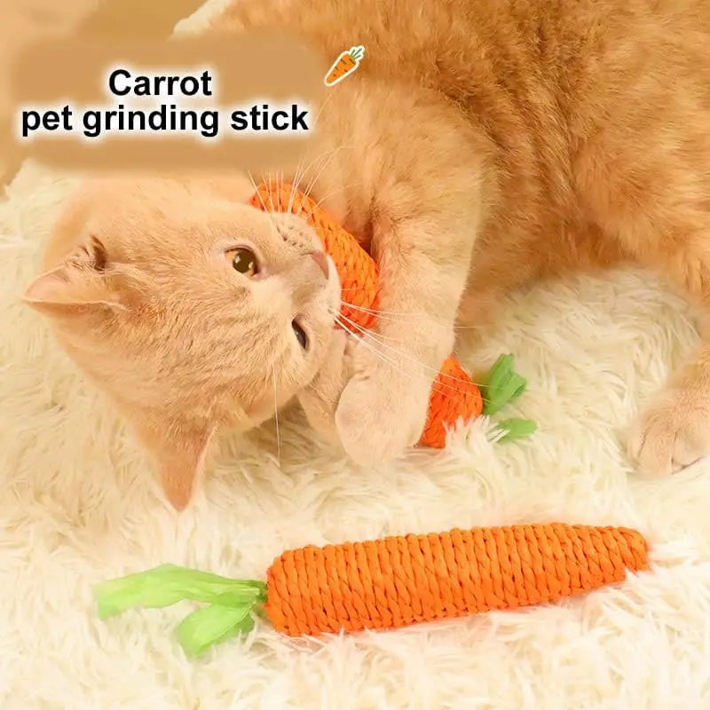 Carrot Cat Teether Toy