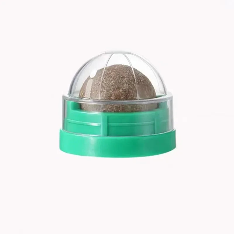 Catnip Wall Ball Toy