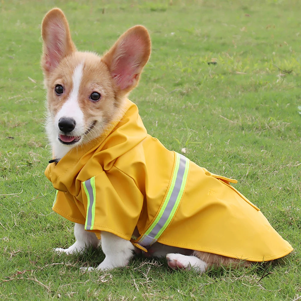 Corgi Cloak Raincoat
