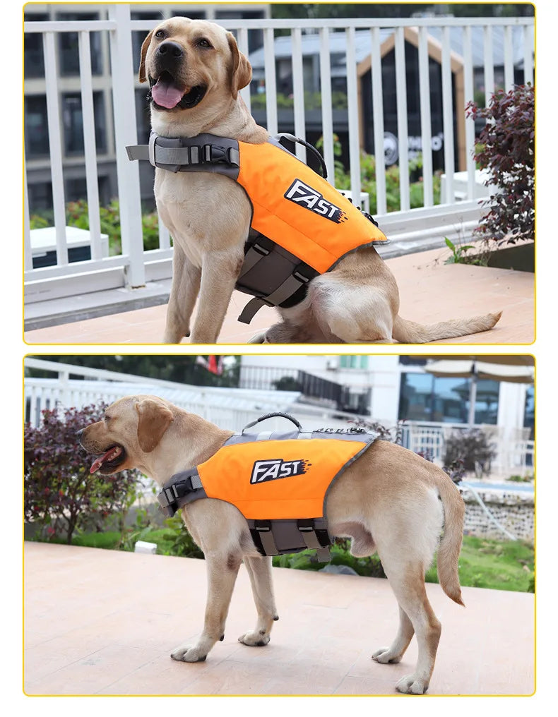 Summer Dog Life Vest