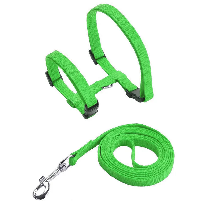 Nylon Pet Harness Set