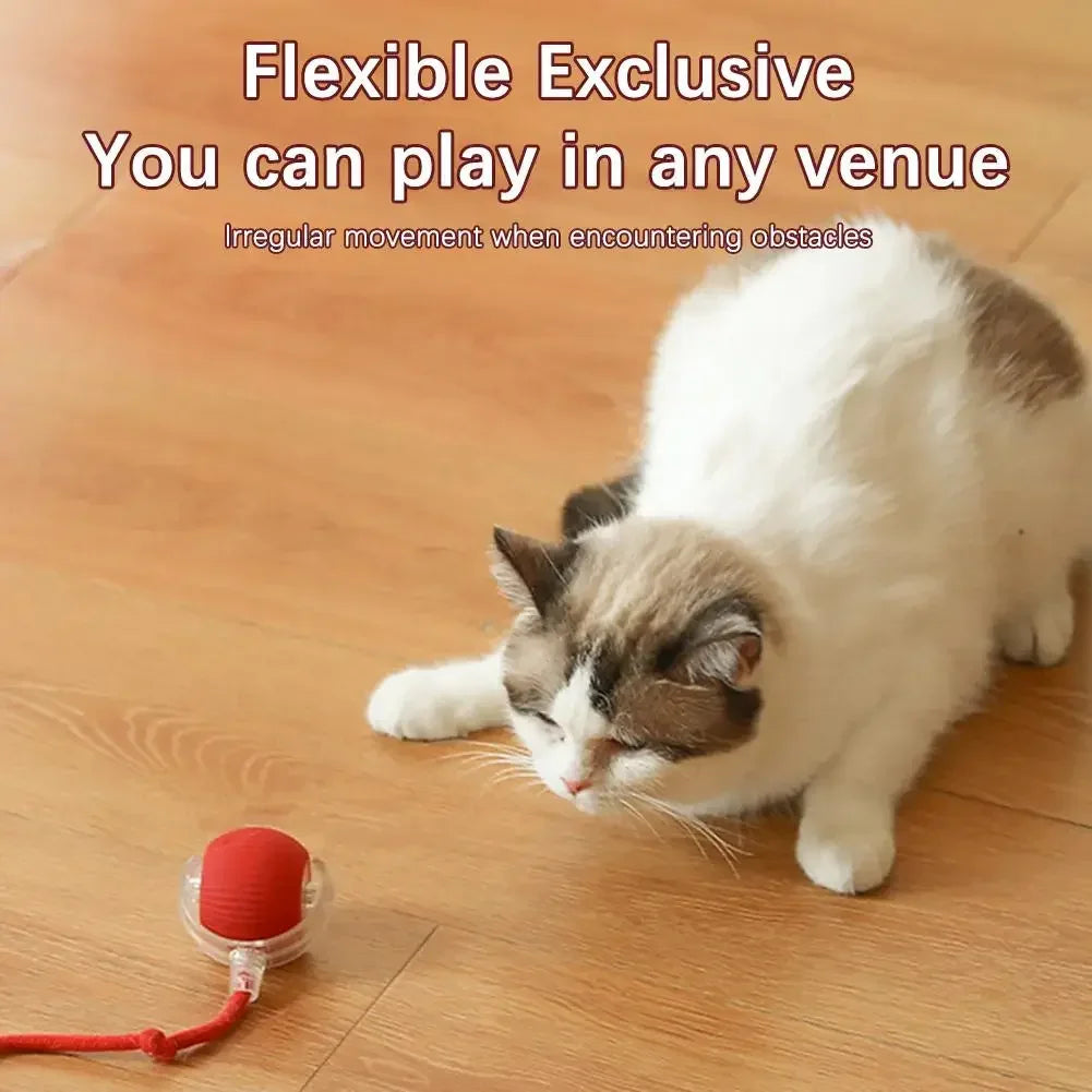 Smart Cat Toy Ball