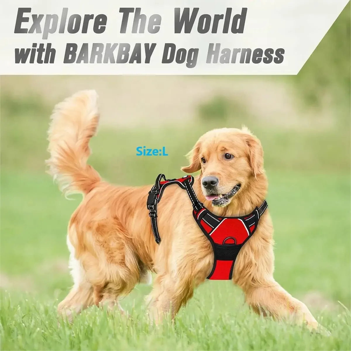 Leather Dog Harness Set