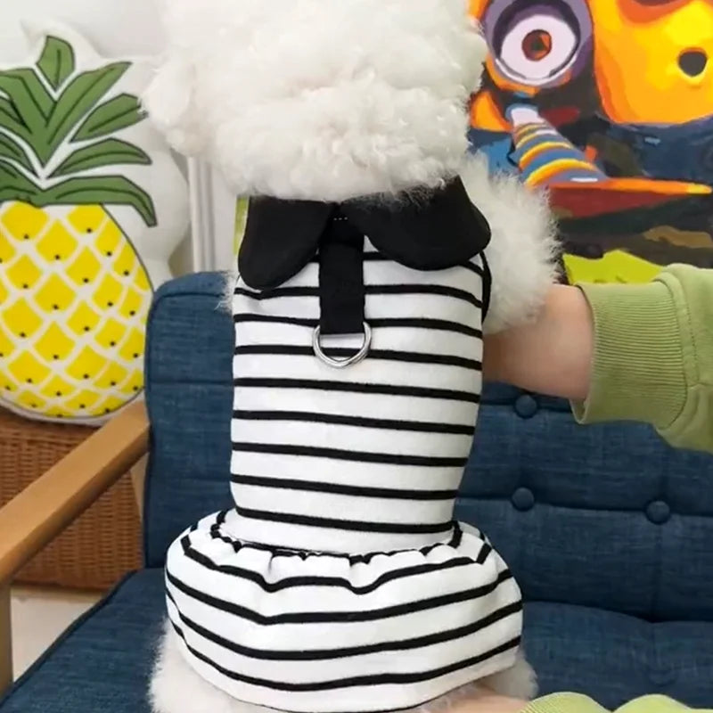 Luxury Bowknot Dog Dress