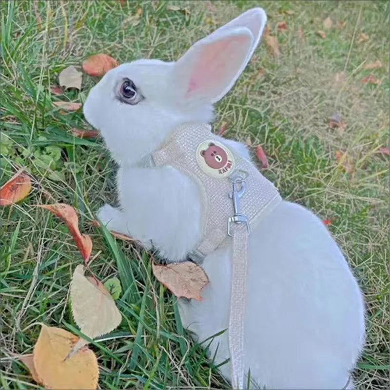 Rabbit Harness Leash Set