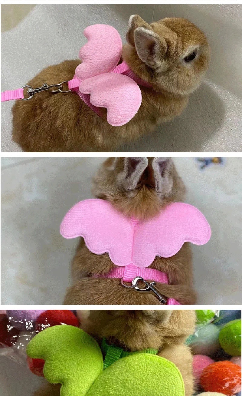 Angel Wing Pet Harness