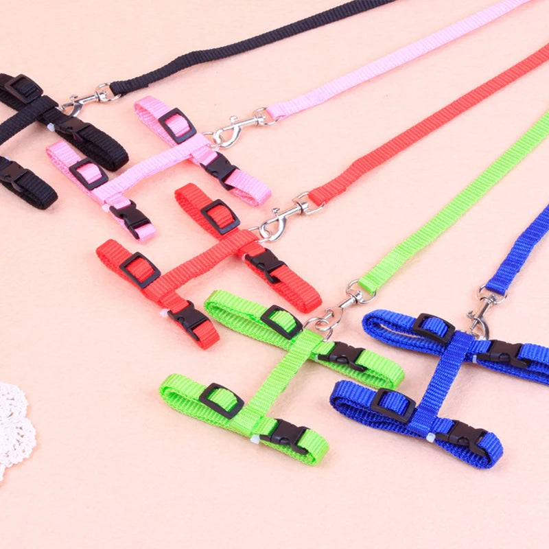 Nylon Pet Harness Set