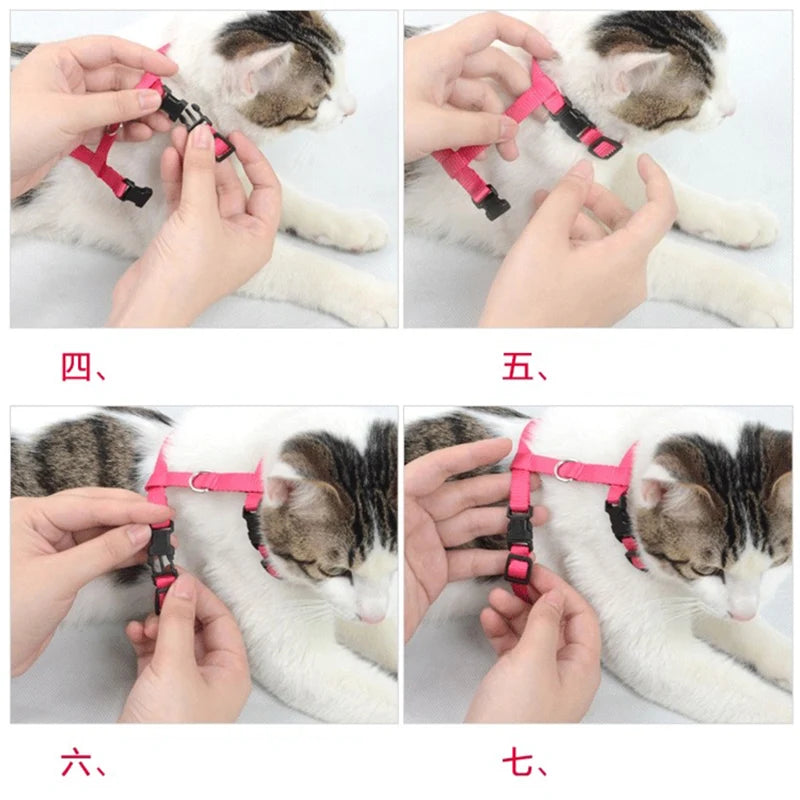 Nylon Pet Harness Set