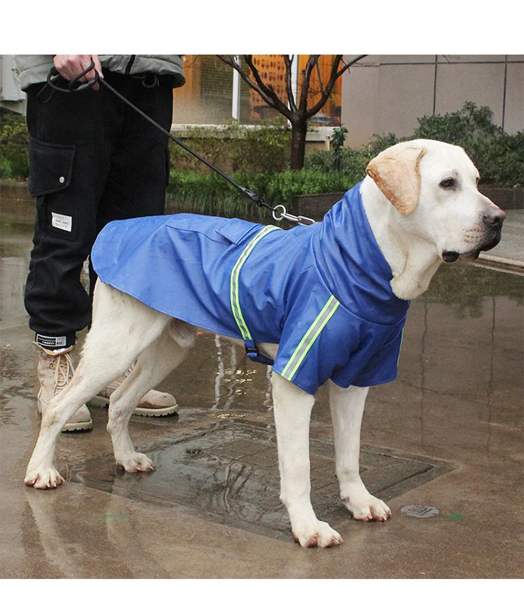 Corgi Cloak Raincoat