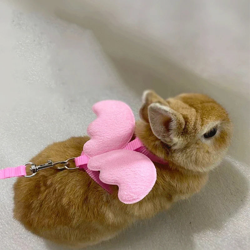 Angel Wing Pet Harness