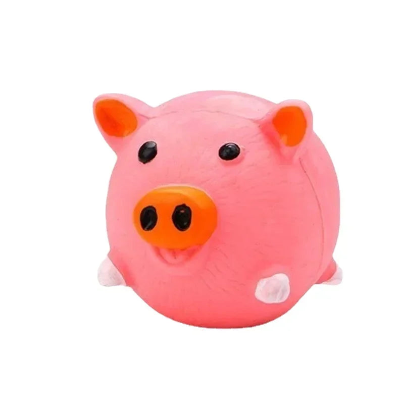Dog Squeaky Toy