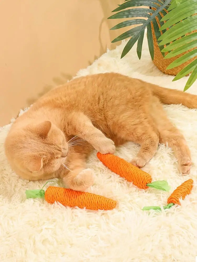 Carrot Cat Teether Toy