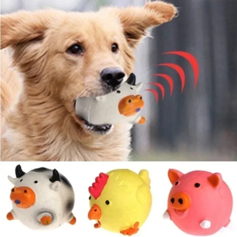 Dog Squeaky Toy
