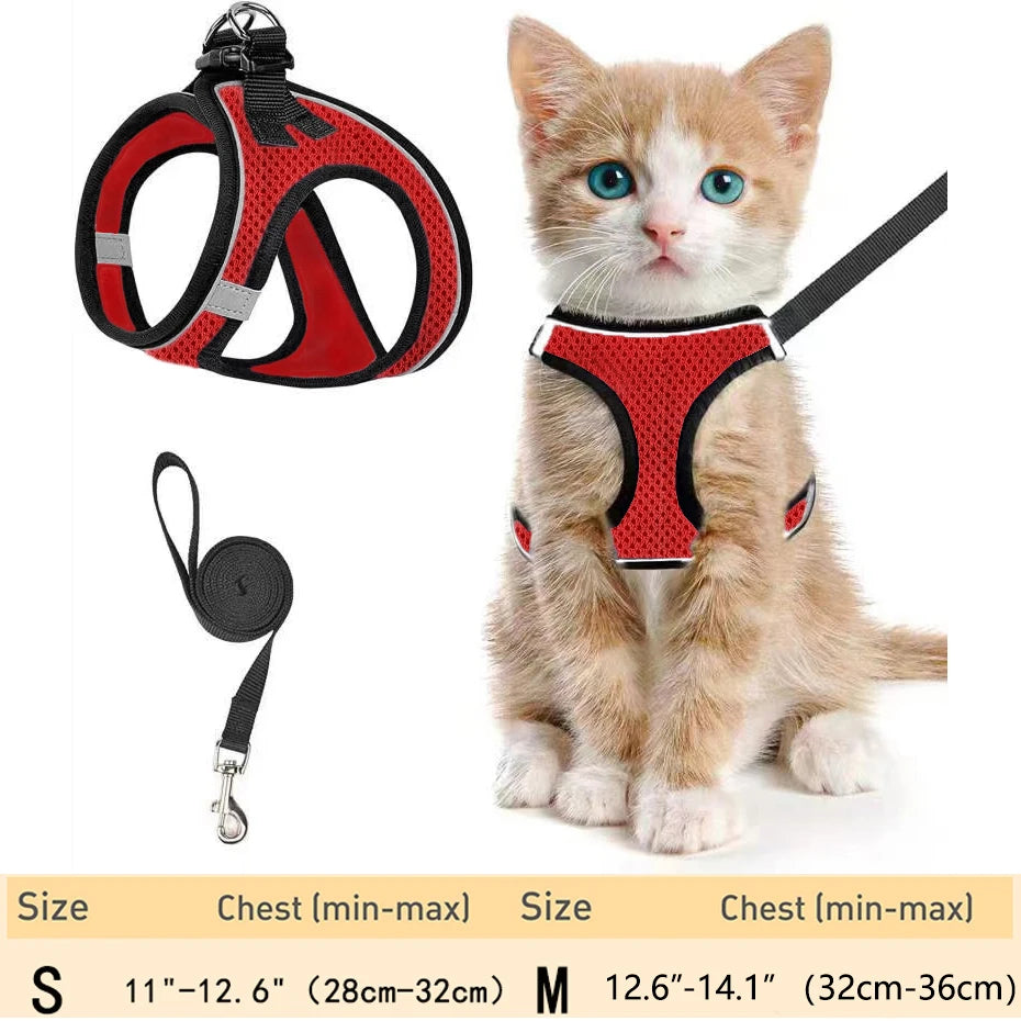 Escape-Proof Cat Harness Set