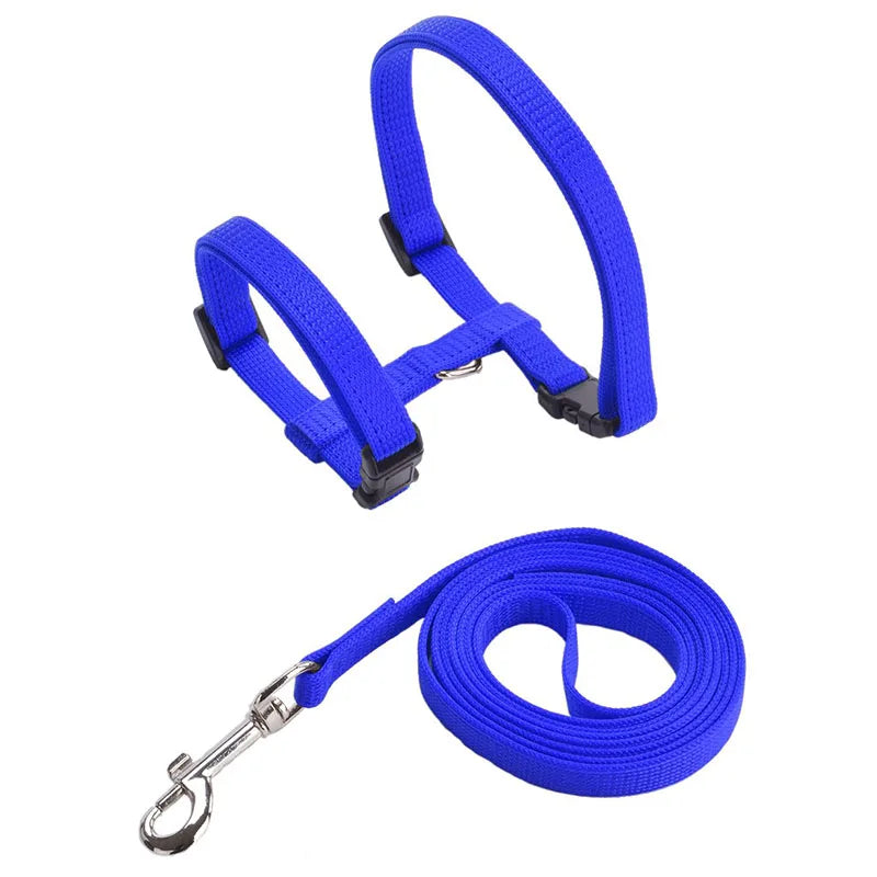 Nylon Pet Harness Set
