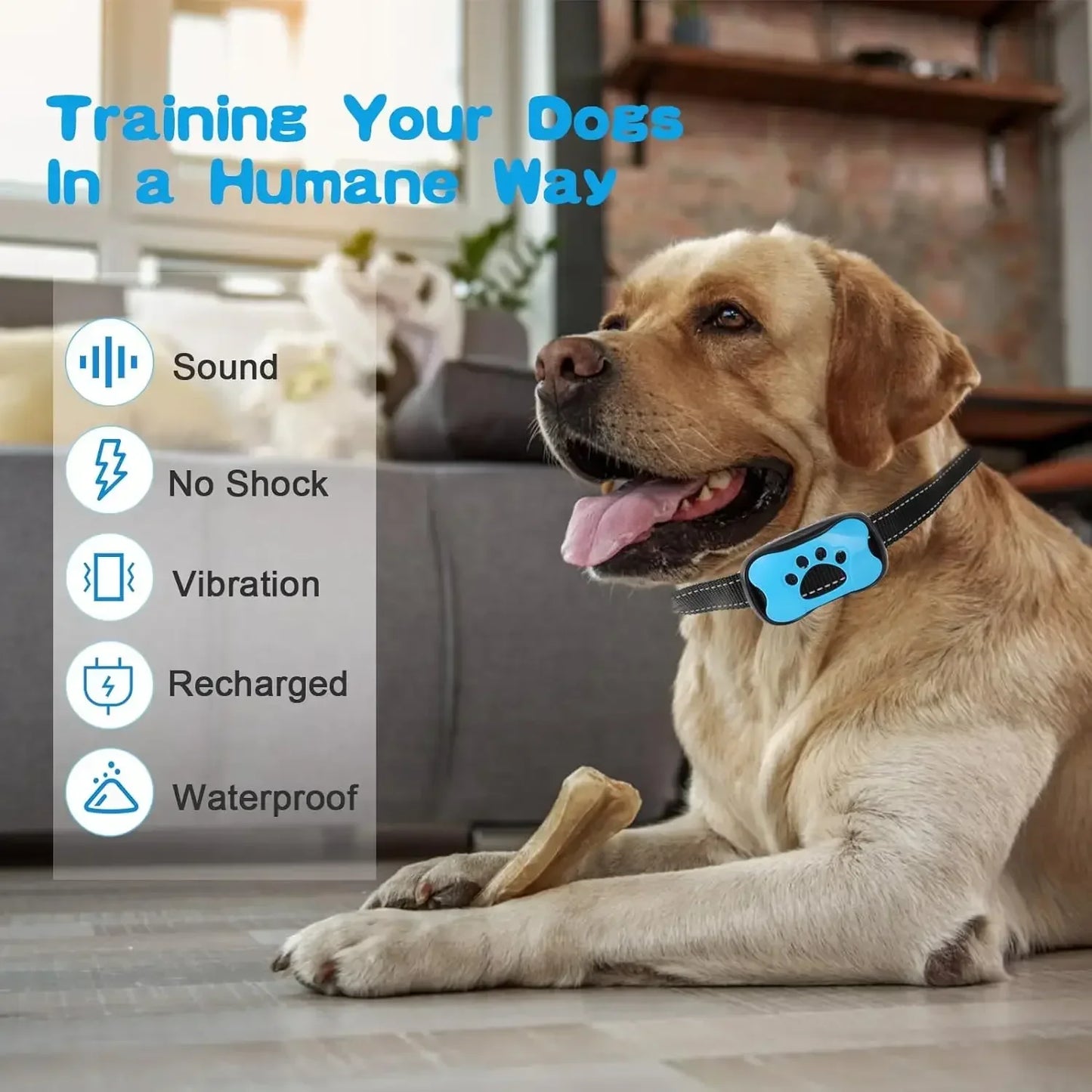 Anti-Bark Dog Collar