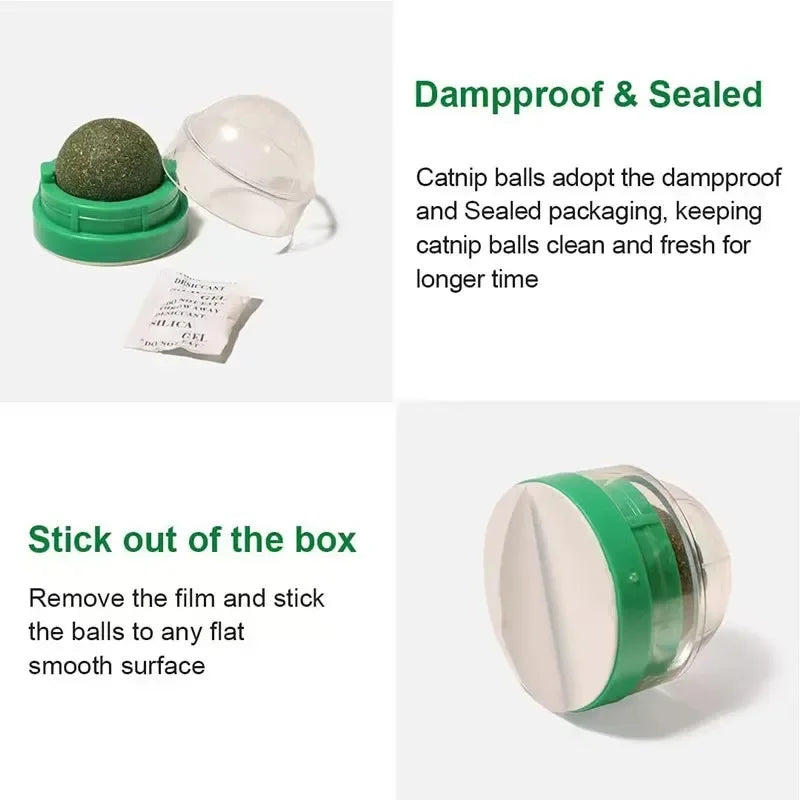 Catnip Wall Ball Toy