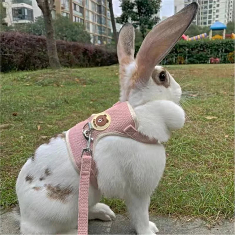 Rabbit Harness Leash Set