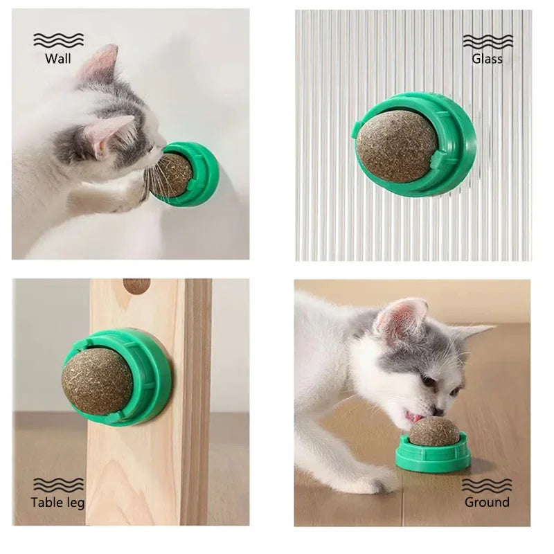 Catnip Wall Ball Toy