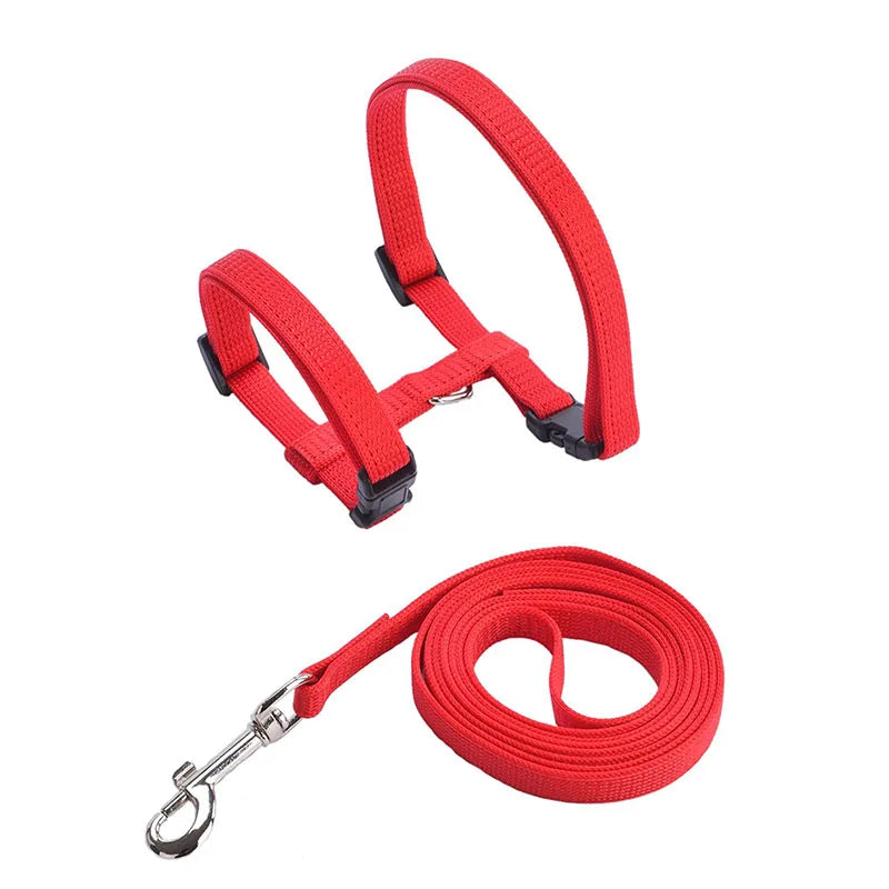Nylon Pet Harness Set