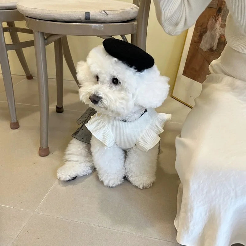 Luxury Bowknot Dog Dress