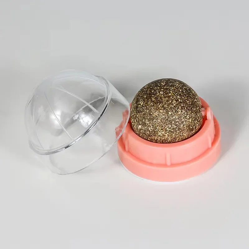Catnip Wall Ball Toy