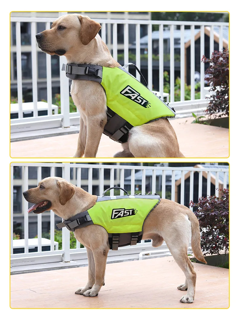 Summer Dog Life Vest
