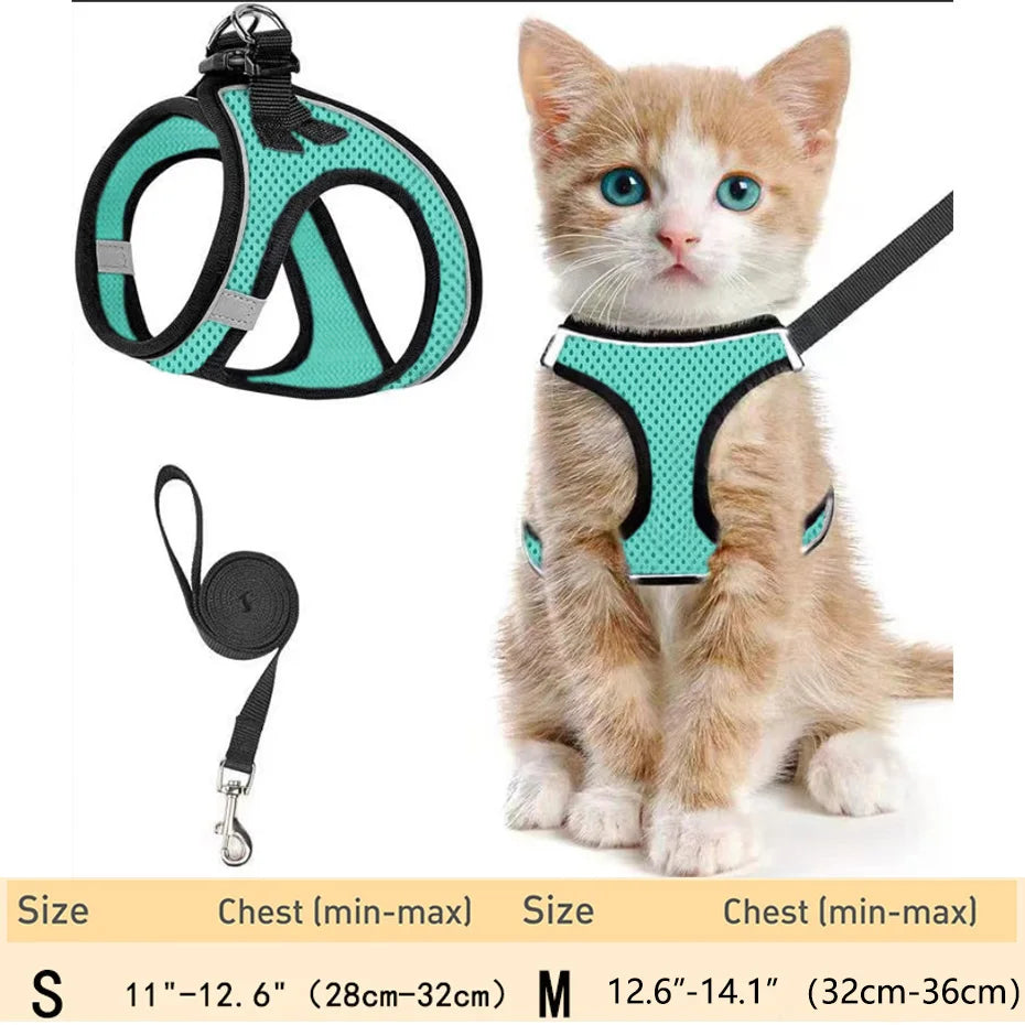 Escape-Proof Cat Harness Set