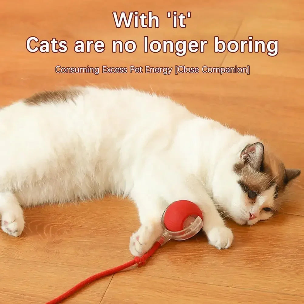 Smart Cat Toy Ball