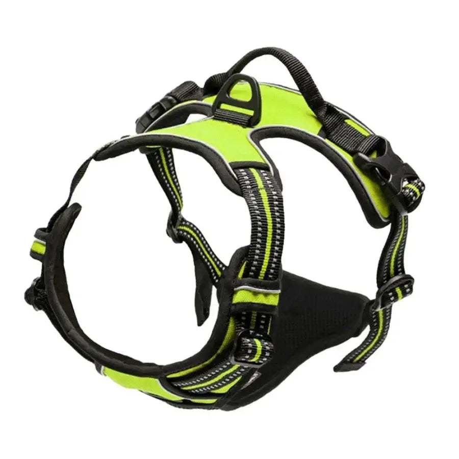 Leather Dog Harness Set