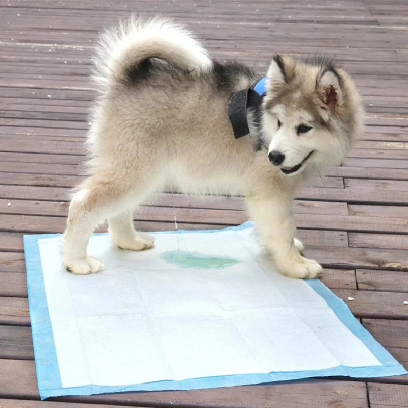 Disposable Pet Training Pads