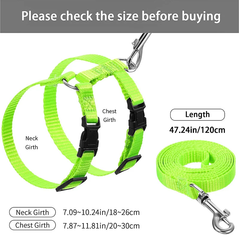 Nylon Pet Harness Set